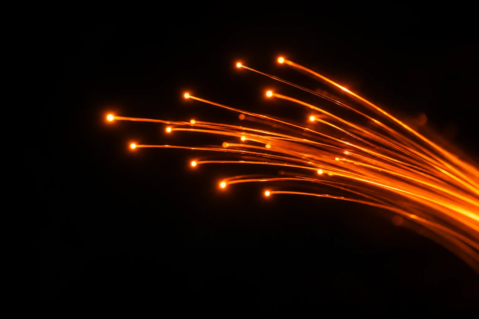 Fiber Optic